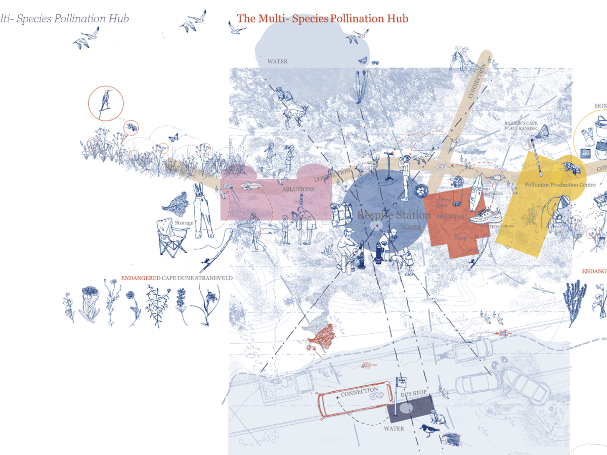 Pollination Hub